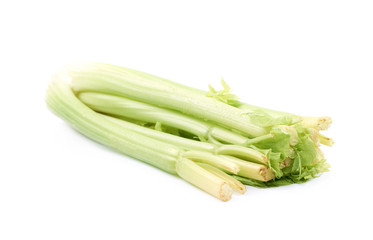 Celery vegetable isolated