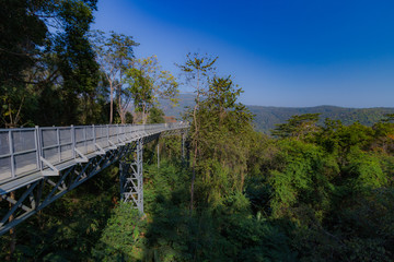 Fototapeta na wymiar The Canopy walkway, Queen Sirikit Botanic Garden