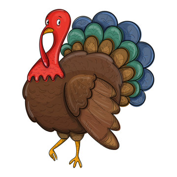 Colorful sketch style illustration of turkey, traditional thanksgiving symbol. Vector.