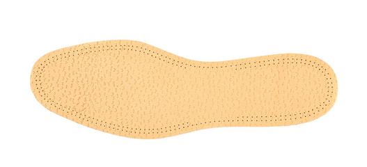 Single shoe insole isolated