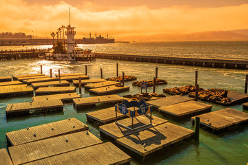 Fototapeta premium Spectacular landscape at sunset of Pier 39, San Francisco, California, United States.Pier 39, located at Fisherman's Wharf, is a popular tourist attraction for Sea Lions colony.Travel holidays concept