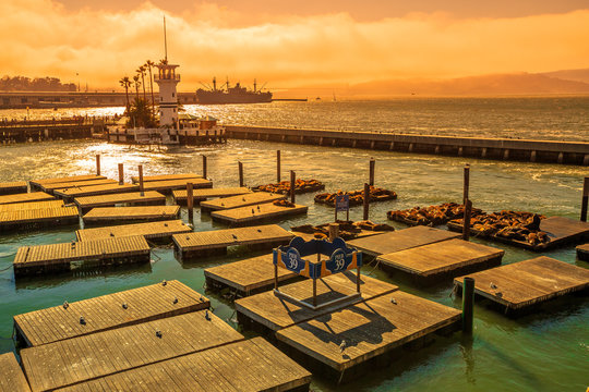 Spectacular landscape at sunset of Pier 39, San Francisco, California, United States.Pier 39, located at Fisherman's Wharf, is a popular tourist attraction for Sea Lions colony.Travel holidays concept