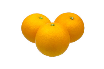 navel oranges on white background