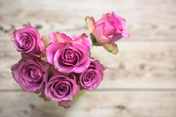Pink roses on the table