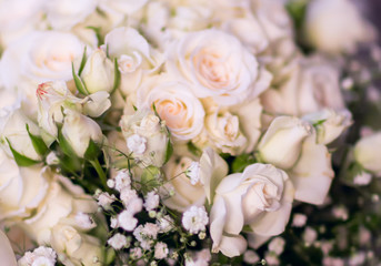 Flowers roses bouquet of white roses