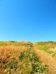 Fototapeta premium 冬の土手風景