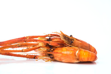 Grilled shrimp isolated on white background