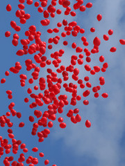 Multi colored balloons on a blue sky