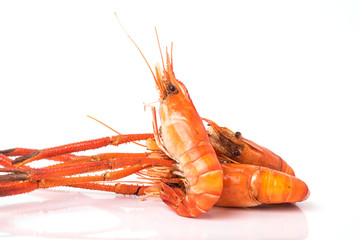 Grilled shrimp isolated on white background