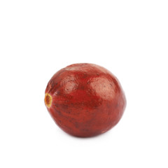 Single ripe cranberry isolated