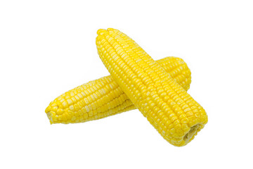 yellow corn isolated on white
