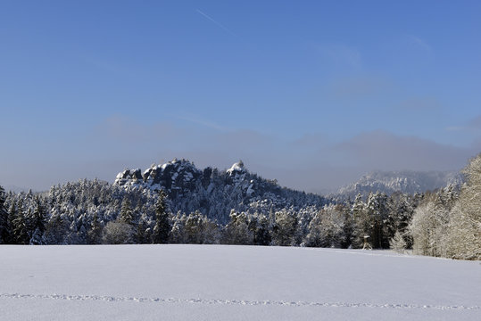 Blick zum Gamrig in der S&auml;chsischen Schweiz