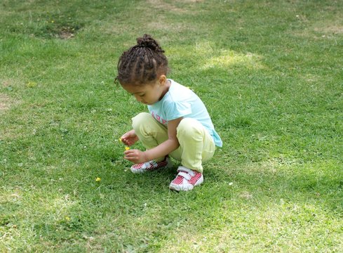 Pretty child engrossed in picking buttercups and daisies in the park