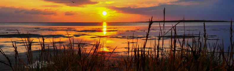 Fotobehang Panorama Waddenzee Noordzee © Animaflora PicsStock