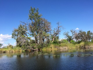 Water landscape in Botswana