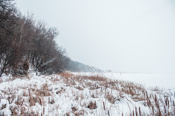 Frozen River in the snow with a view of the coast from reeds