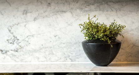 green plants in ceramic vase for decorated