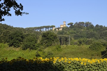 Castelvecchio di Bomarzo-Veduta