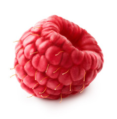 Isolated berry. One fresh raspberry fruit on white background with clipping path. Macro. Close up.