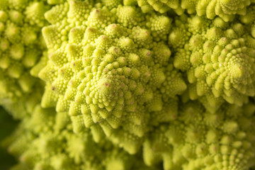 Romanesque Cauliflower 