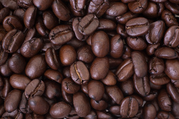 Coffee bean