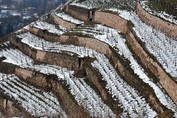 Sächsische Weinstraße bei Radebeul