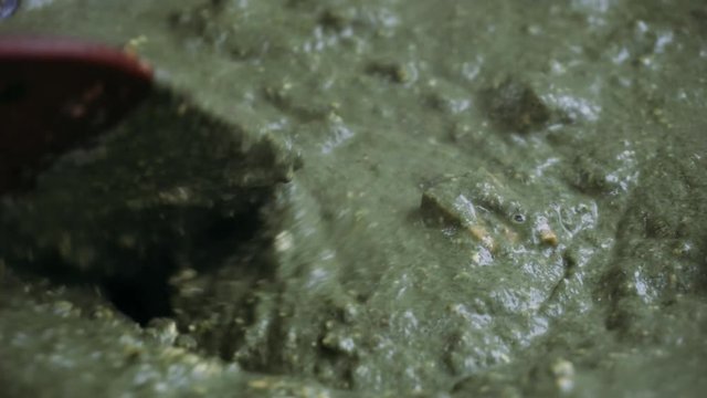 vegetarian dishes Palak paneer. Spinach and paneer in a pan