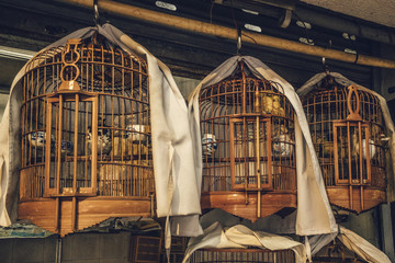 Assorted bird cages for sale near the Yuen Po Bird Garden in Mongkok, Kowloon, Hong Kong. - Powered by Adobe