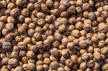 Background from walnuts. Nuts background closeup. Natural organic food. Assortment of walnuts. Whole walnuts and nutcracker background. Top view. Harvest concept.