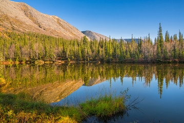 Little lake and golden Autumn on the Kola Peninsula, Murmansk region, Russia
