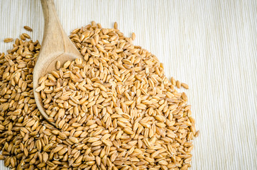 spelt with spoon on table cloth, close up, background