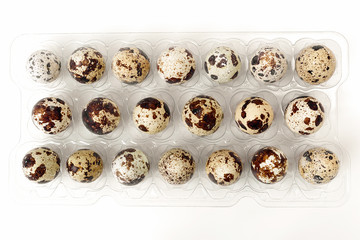 Quail Egg