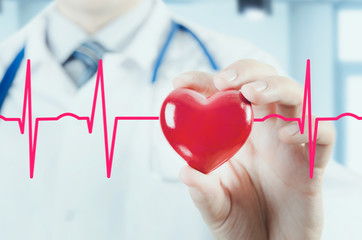 Cardiologist holding heart 3D model. Concept with cardiogram
