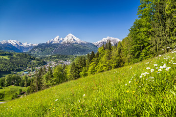 Idyllic landscape in the Alps with blooming meadows in summer