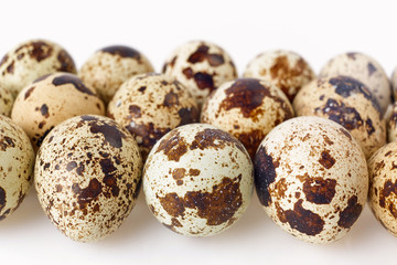 Quail Egg