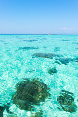 Blue marine glow ripple water wave in sea ocean under bright sum