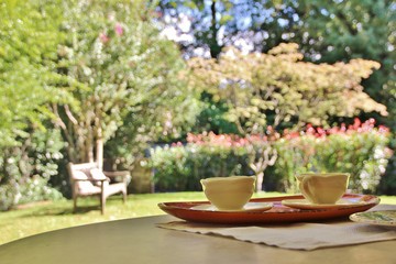 Obraz na płótnie Canvas A cup of tea in the garden, Italy