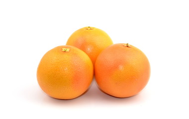 grejpfrut