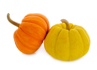 Small pumpkin isolated on white background