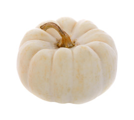 Small pumpkin isolated on white background