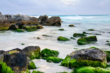 Steine am Strand mit Meer, Tulum, Mexiko