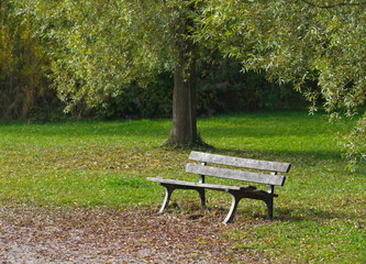 Bank im Park