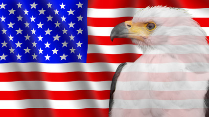 American flag with Bald Eagle