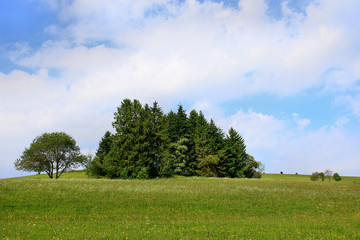 beautiful landscape in the Black Forest in Germany