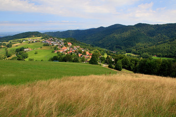 Fototapeta na wymiar beautiful landscape in the Black Forest in Germany