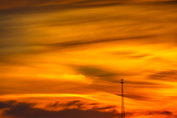 A buck deer standing at attention during the rut and the Wisconsin rifle hunting season. 