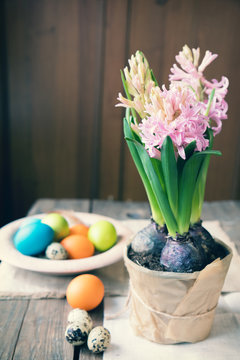 Pink hyacinth, easter colorful and quail eggs in wooden pot on dark wooden table. Toned photo.