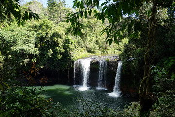 Fototapeta na wymiar Waterfall in dense forest