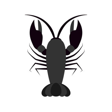 vector of crayfish