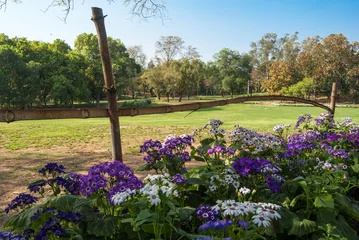 Keuken spatwand met foto Lodhi Gardens in New Delhi, India © shafali2883